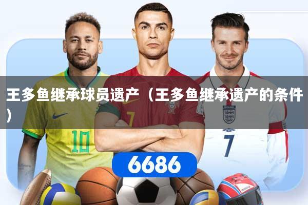 王多鱼继承球员遗产（王多鱼继承遗产的条件）